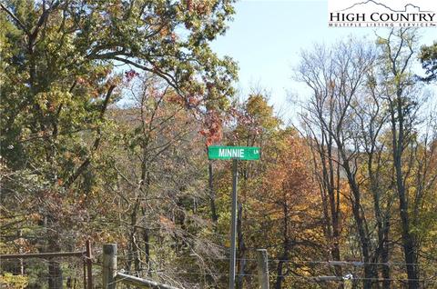 91 Parkview Dr, Sparta, NC 28675 photo 30