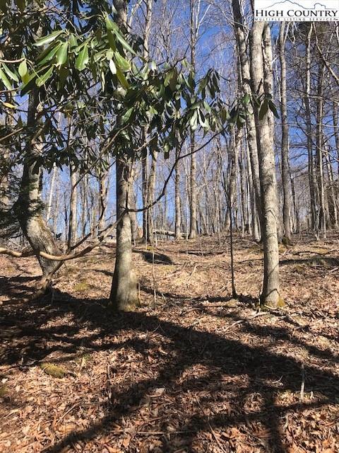 202-204 Spring Branch Rd, Beech Mountain, NC 28604 photo 21