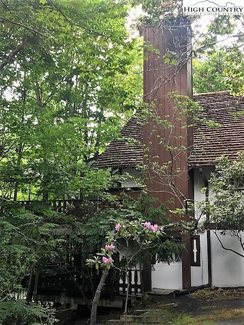 202-204 Spring Branch Rd, Beech Mountain, NC 28604 photo 18