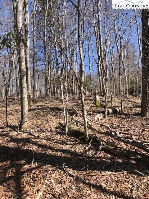 202-204 Spring Branch Rd, Beech Mountain, NC 28604 photo 22