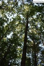 tbd Brooks Rd, Glade Valley, NC 28627 photo 4