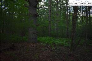tbd Brooks Rd, Glade Valley, NC 28627 photo 1