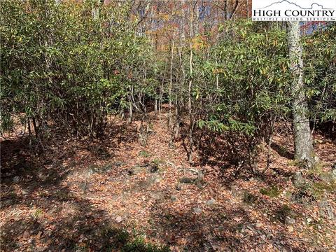 216 Oak Rd, Beech Mountain, NC 28604 photo 4