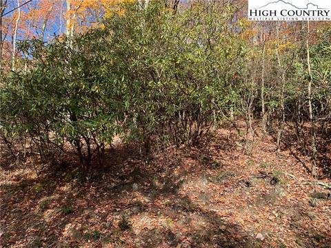 216 Oak Rd, Beech Mountain, NC 28604 photo 1