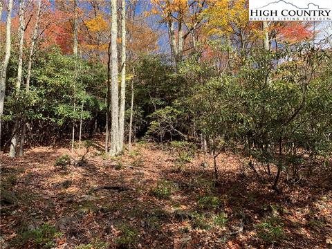 216 Oak Rd, Beech Mountain, NC 28604 photo 2