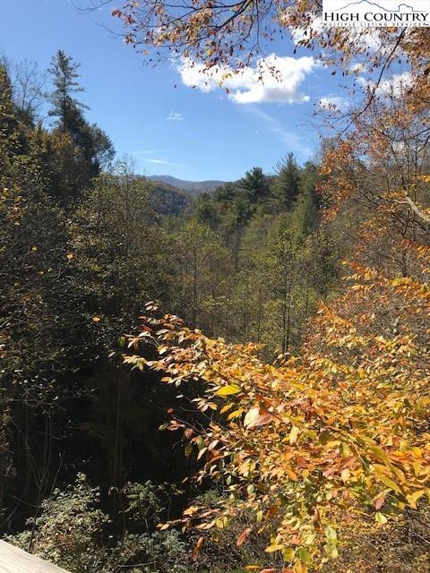 311 Memory Ln, Deep Gap, NC 28618 photo 24