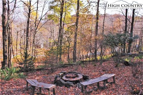 177 Old Mill Rd, Todd, NC 28684 photo 31