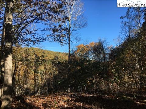 10 Arborway Drive, Todd, NC 28684