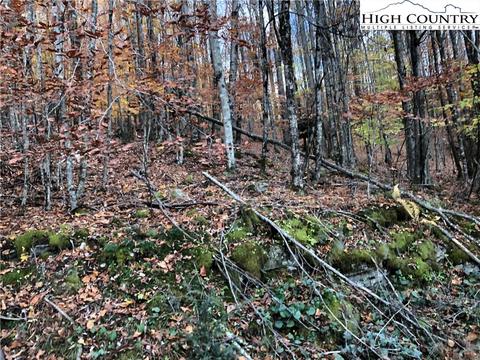 105 Lakeledge Cir, Beech Mountain, NC 28604 photo 3