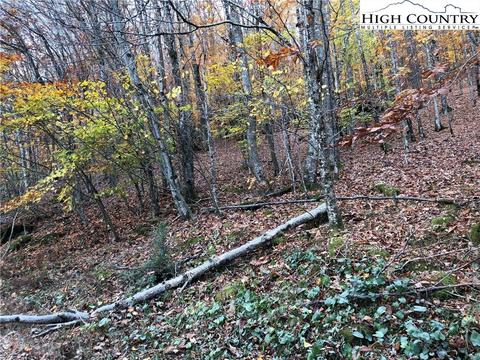 105 Lakeledge Cir, Beech Mountain, NC 28604 photo 4
