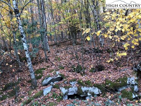 105 Lakeledge Cir, Beech Mountain, NC 28604 photo 2