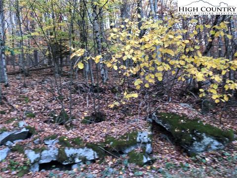 105 Lakeledge Cir, Beech Mountain, NC 28604 photo 1