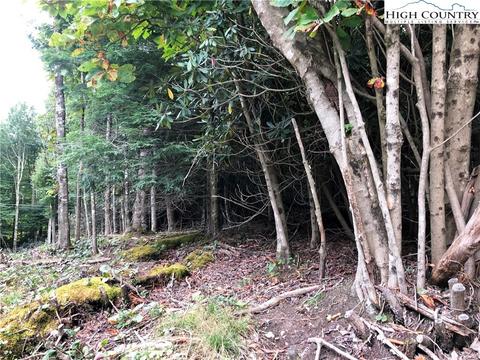 201 Lakeledge Rd, Beech Mountain, NC 28604 photo 2