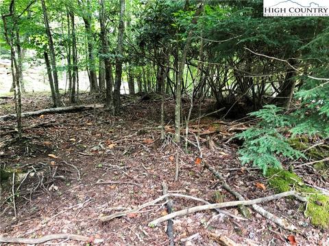 201 Lakeledge Rd, Beech Mountain, NC 28604 photo 3