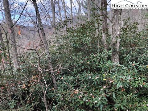 125 Deergrass Rd, Beech Mountain, NC 28604 photo 4