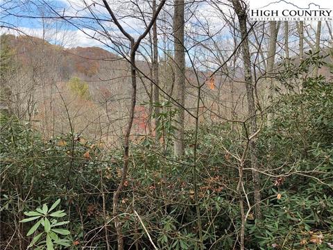 125 Deergrass Rd, Beech Mountain, NC 28604 photo 3