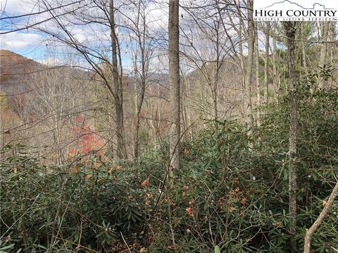 125 Deergrass Rd, Beech Mountain, NC 28604 photo 2
