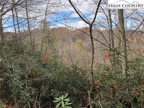 125 Deergrass Rd, Beech Mountain, NC 28604 photo 1