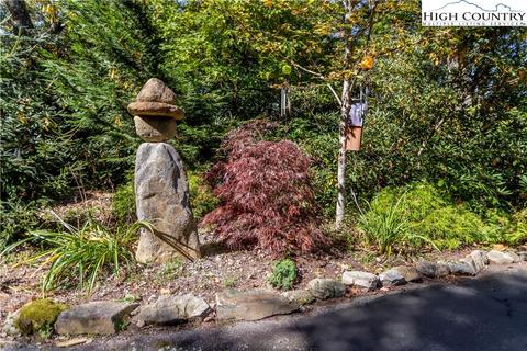 270 Tree Top Ridge Ln, Boone, NC 28607 photo 38