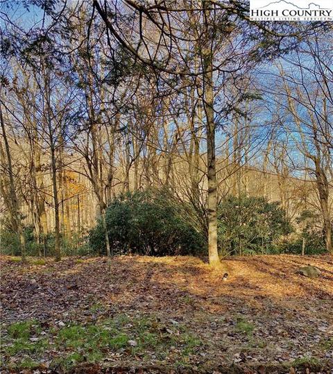 146 John Dotson Rd, Boone, NC 28607 photo 1
