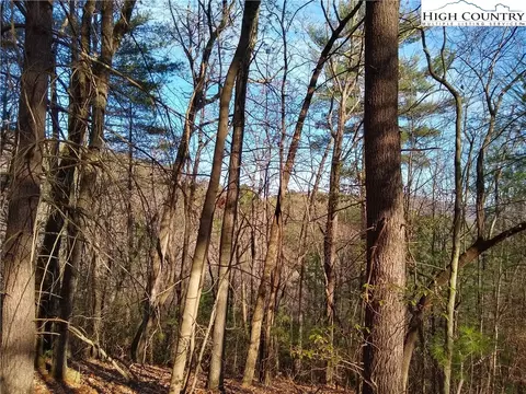 989 Summit Ridge Rd, Purlear, NC 28665 photo 2