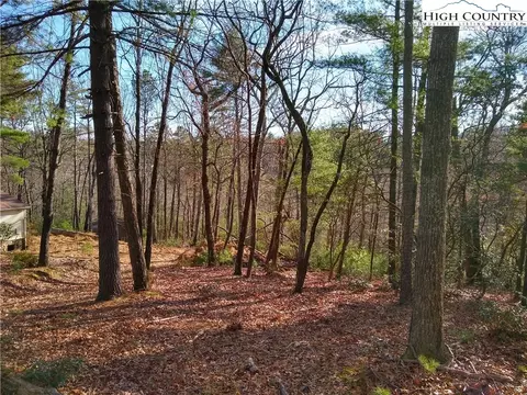 989 Summit Ridge Rd, Purlear, NC 28665 photo 3