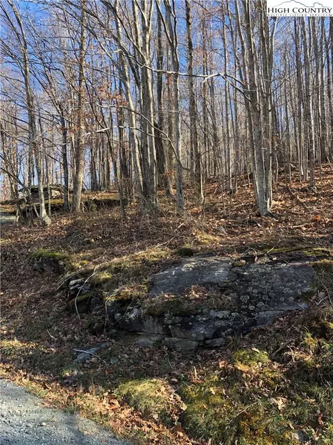223 Wild Daisy Ln, Beech Mountain, NC 28604 photo 2