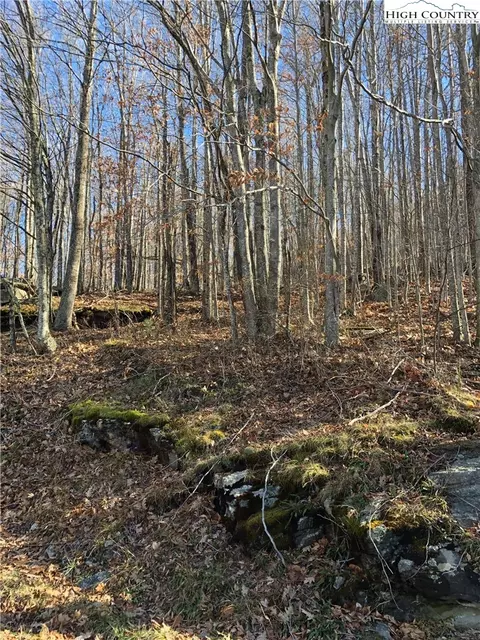 223 Wild Daisy Ln, Beech Mountain, NC 28604 photo 1