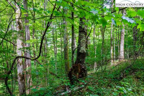 16 Rich Mountain Road, Zionville, NC 28698
