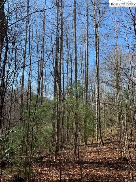 2381 Roaring Fork Rd, Creston, NC 28615 photo 16
