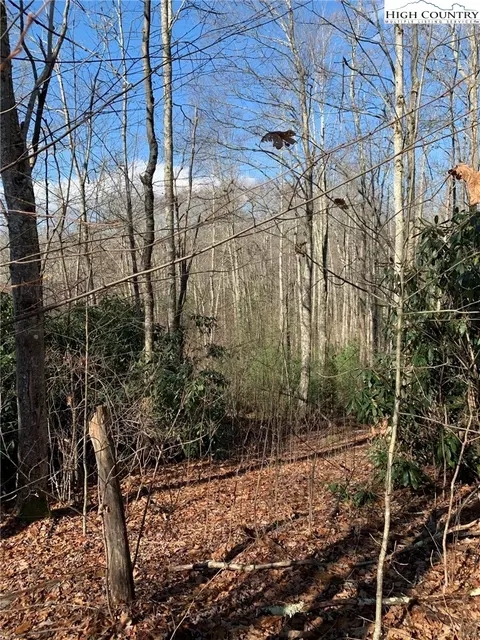 2381 Roaring Fork Rd, Creston, NC 28615 photo 15