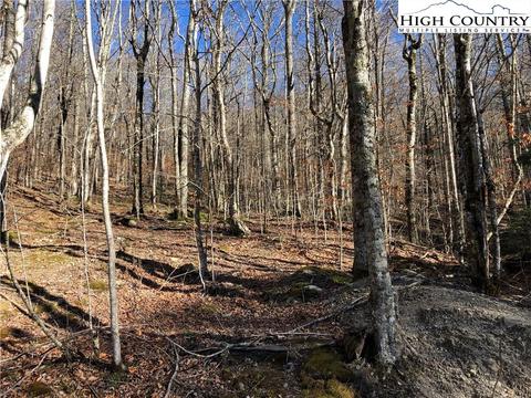 101 White Pine Ln, Beech Mountain, NC 28604 photo 3
