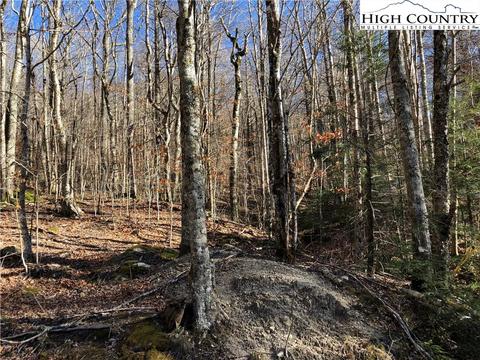 101 White Pine Ln, Beech Mountain, NC 28604 photo 5