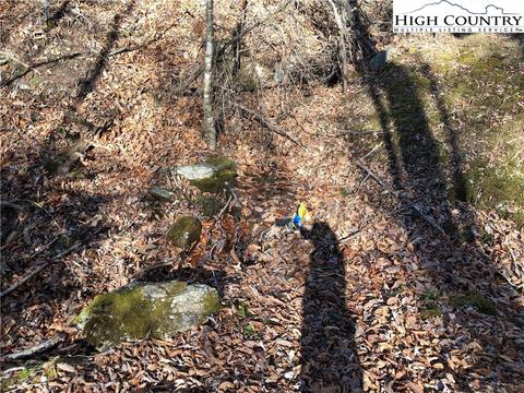 101 White Pine Ln, Beech Mountain, NC 28604 photo 6