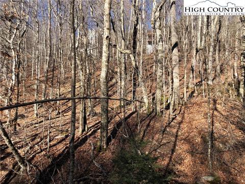 101 White Pine Ln, Beech Mountain, NC 28604 photo 2