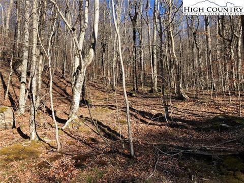 101 White Pine Ln, Beech Mountain, NC 28604 photo 4