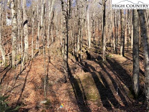 101 White Pine Ln, Beech Mountain, NC 28604 photo 1