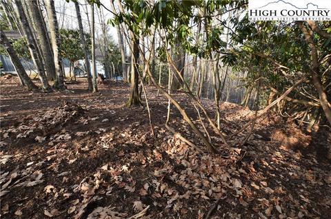 728 Pine Ridge Rd, Beech Mountain, NC 28604 photo 7