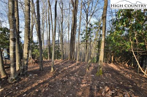 728 Pine Ridge Rd, Beech Mountain, NC 28604 photo 4
