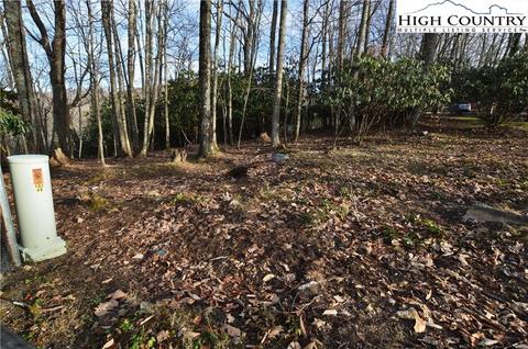 728 Pine Ridge Rd, Beech Mountain, NC 28604 photo 3