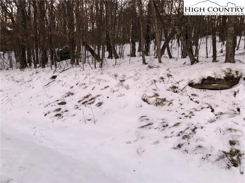 109 Raven Rd, Beech Mountain, NC 28604 photo 3