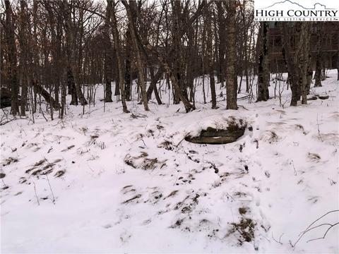 109 Raven Rd, Beech Mountain, NC 28604 photo 2