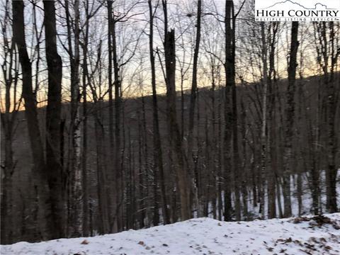 111 Hollow Tree Rd, Beech Mountain, NC 28604 photo 1