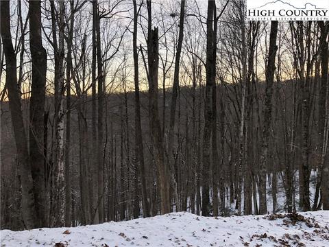 111 Hollow Tree Rd, Beech Mountain, NC 28604 photo 2