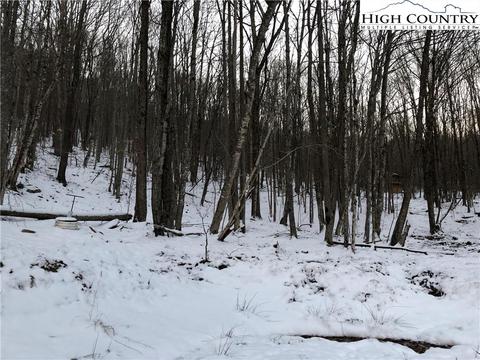 125 Aster Trl, Beech Mountain, NC 28604 photo 3