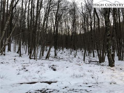 125 Aster Trl, Beech Mountain, NC 28604 photo 1