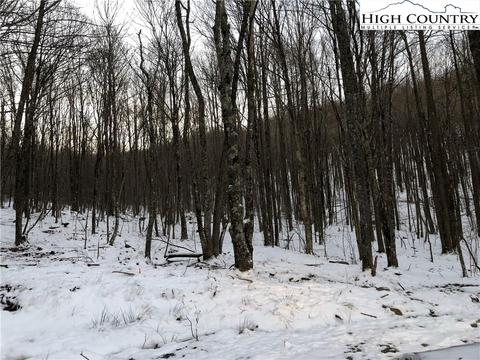 125 Aster Trl, Beech Mountain, NC 28604 photo 2