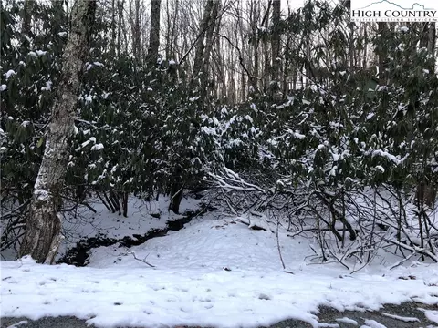 119 Teaberry Trl, Beech Mountain, NC 28604 photo 3