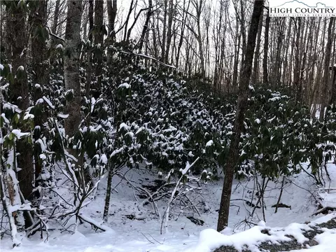 119 Teaberry Trl, Beech Mountain, NC 28604 photo 5