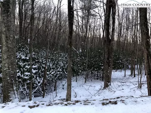 119 Teaberry Trl, Beech Mountain, NC 28604 photo 6